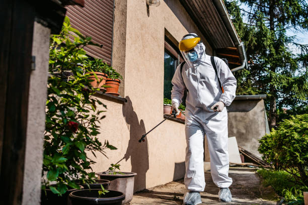 Best Cockroach Control Services  in Myrtle Grove, NC