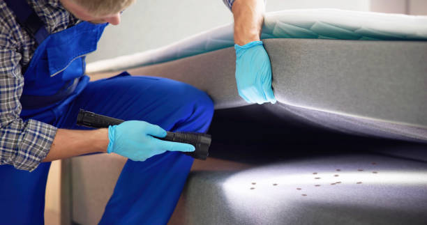 Best Mosquito Control Services  in Myrtle Grove, NC