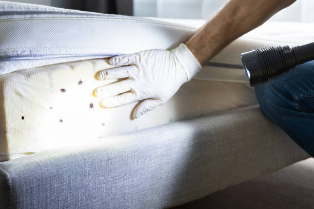 Best Commercial Pest Control Services  in Myrtle Grove, NC