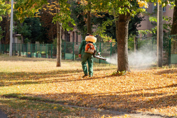 Best Mosquito Control Services  in Myrtle Grove, NC