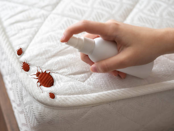 Myrtle Grove, NC Pest Control Company