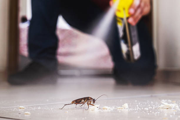 Best Pest Control Near Me  in Myrtle Grove, NC
